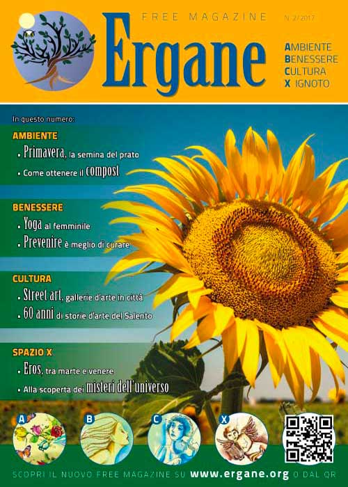 Ergane Numero 2/2017