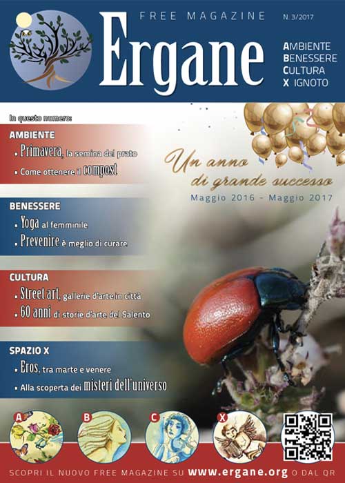 Ergane Numero 3/2017