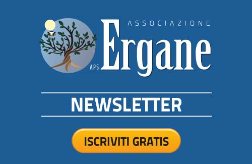 Newsletter Ergane