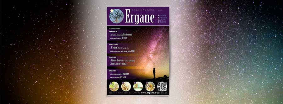 Ergane N. 1/2017