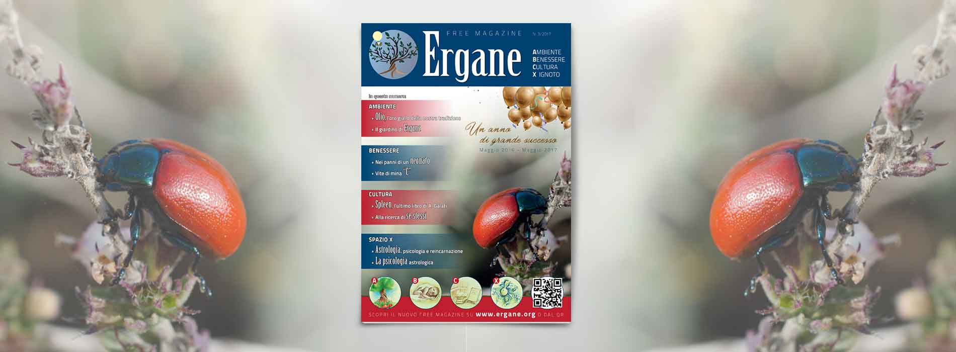 Ergane N. 3/2017