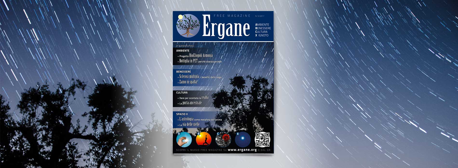 Ergane N. 5/2017